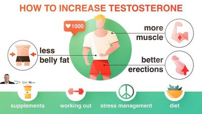 Herbs testosterone what boost The Surprising
